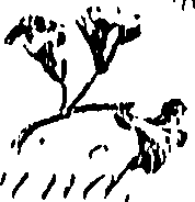 099/099310010701220_0.png