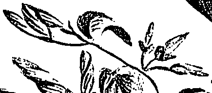 099/099310010701220_1.png