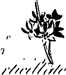 099/099310010701240_0.png