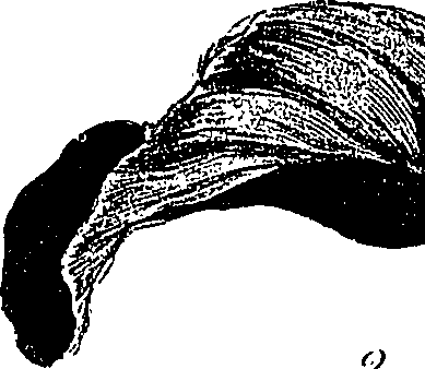 099/099310010701250_1.png