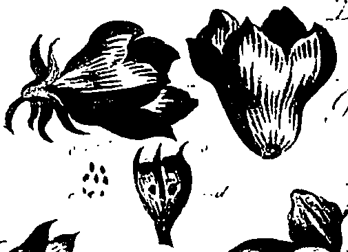 099/099310010800640_0.png