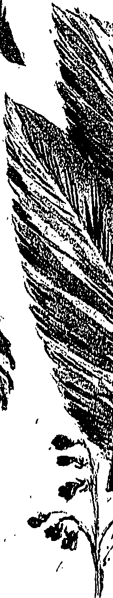099/099310010800670_0.png