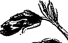 099/099310010800670_1.png