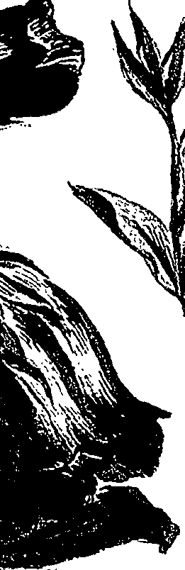 099/099310010800670_2.png