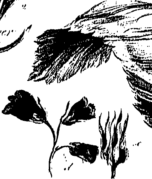 099/099310010800680_0.png
