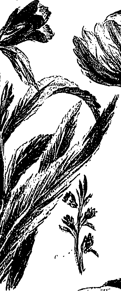 099/099310010800680_1.png