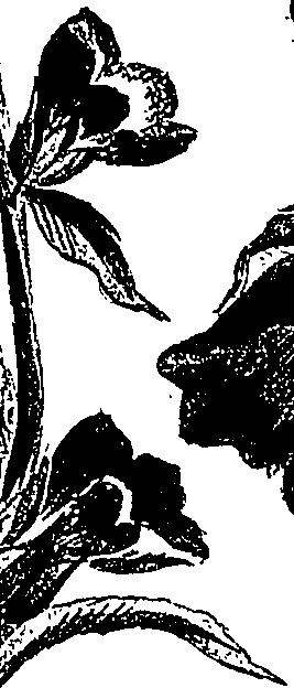 099/099310010800680_2.png