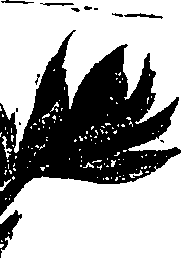 099/099310010800680_3.png