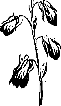 099/099310010800690_0.png