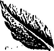 099/099310010800720_0.png