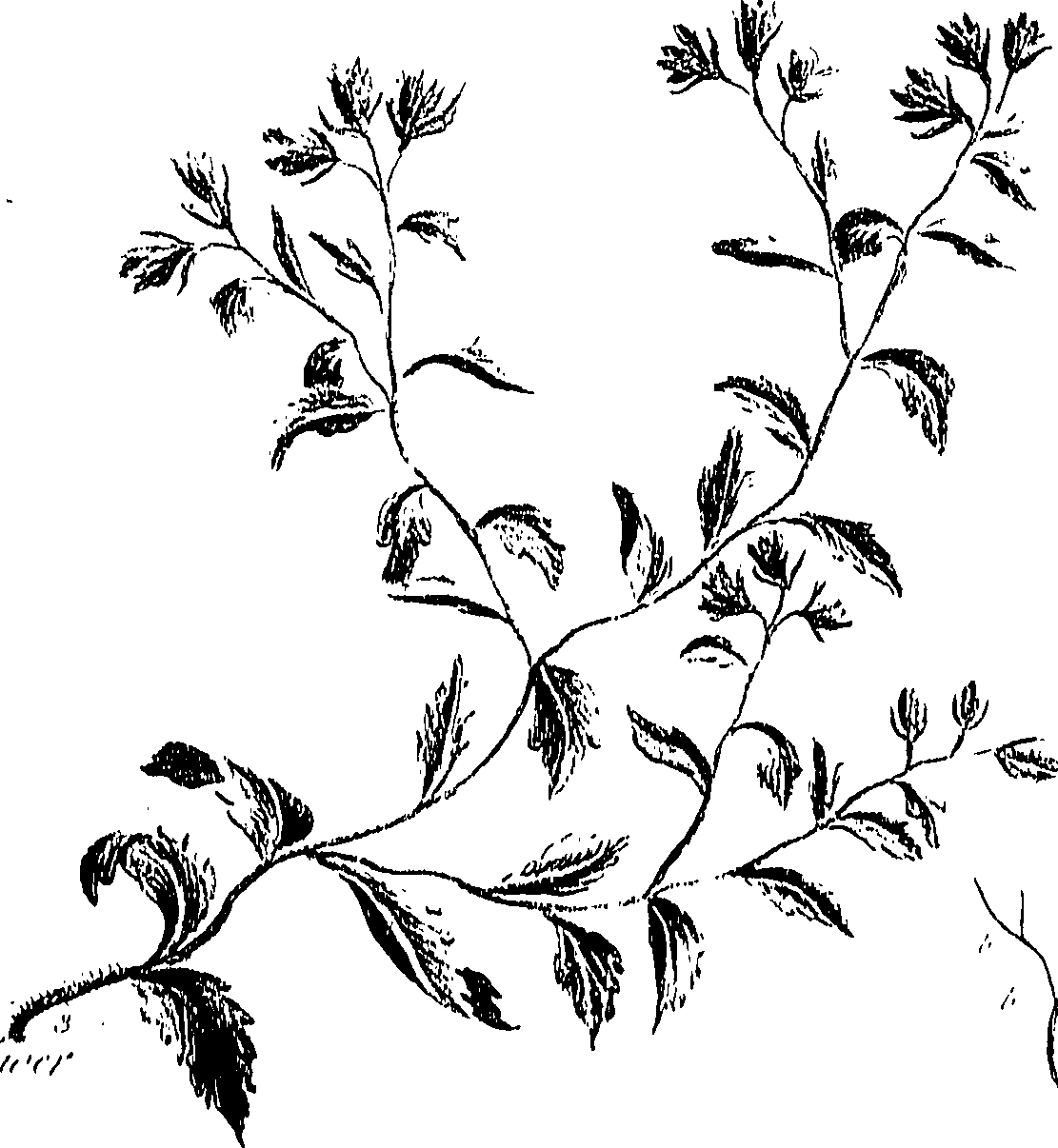 099/099310010800720_1.png