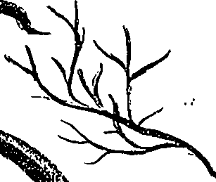 099/099310010800720_2.png