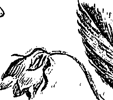 099/099310010800730_0.png