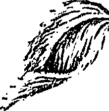 099/099310010800730_1.png