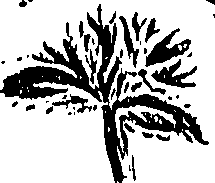 099/099310010800740_0.png
