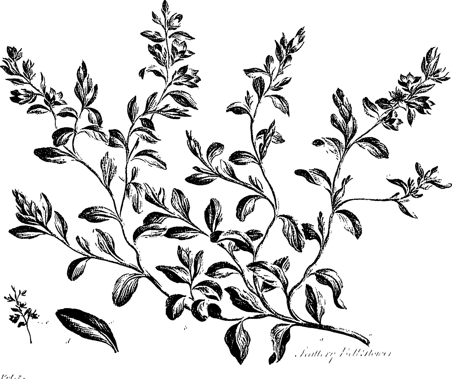 099/099310010800750_0.png