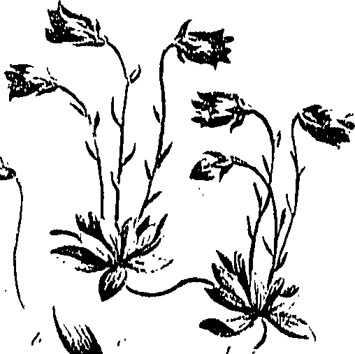 099/099310010800760_0.png