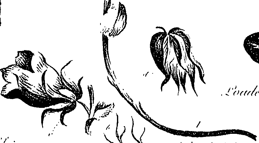 099/099310010800760_1.png