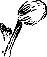 099/099310010800760_2.png