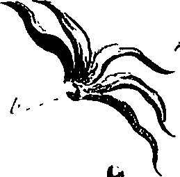 099/099310010800770_0.png