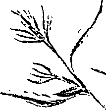 099/099310010800780_0.png