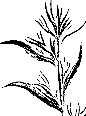 099/099310010800780_1.png