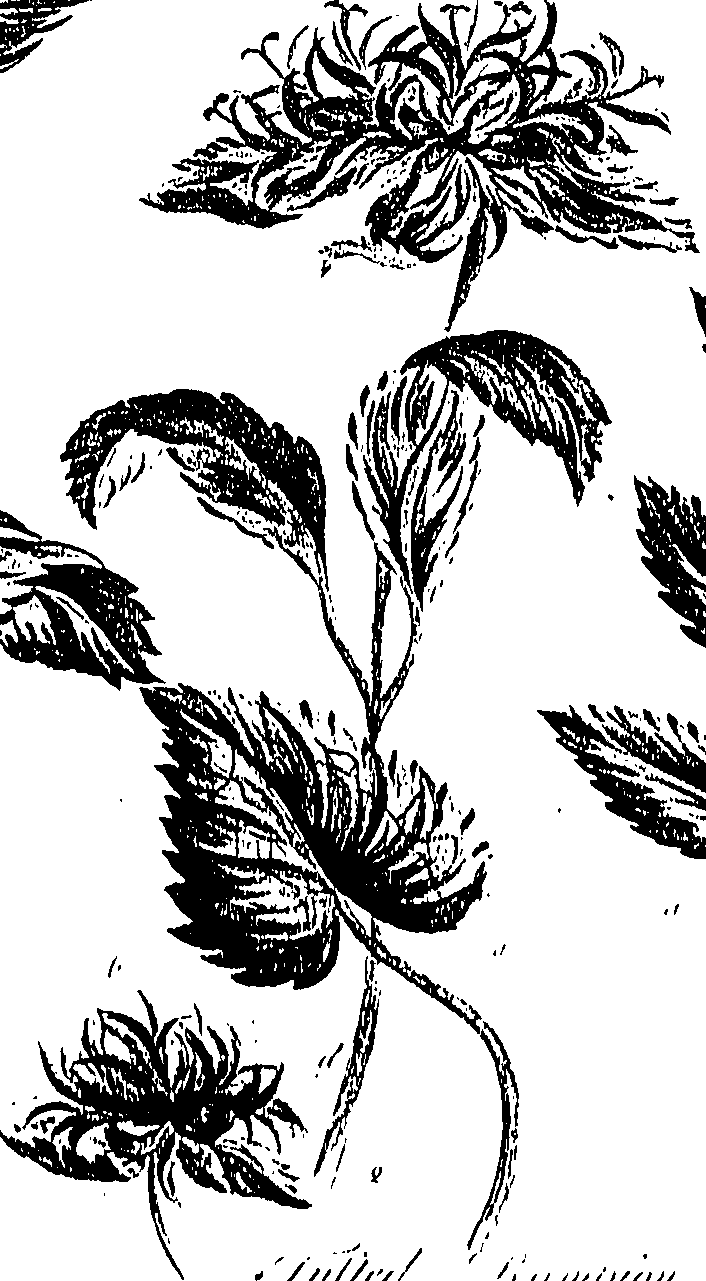 099/099310010800790_0.png
