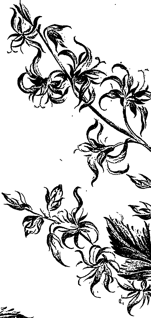 099/099310010800790_1.png