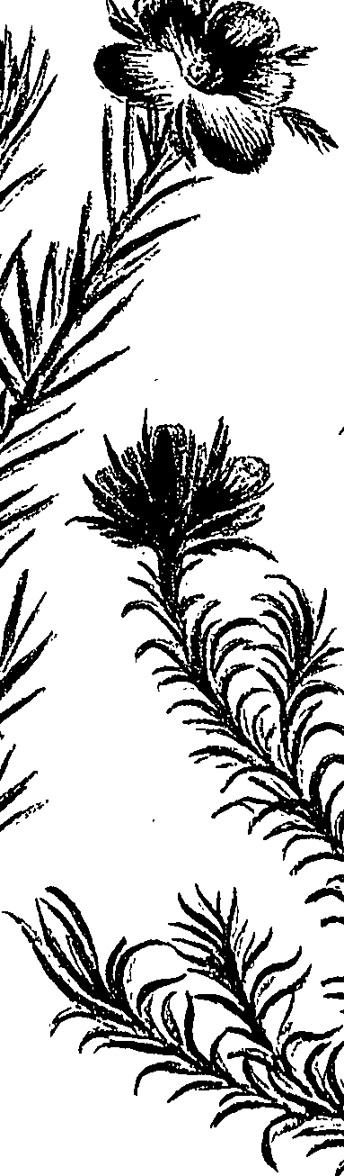 099/099310010800810_1.png