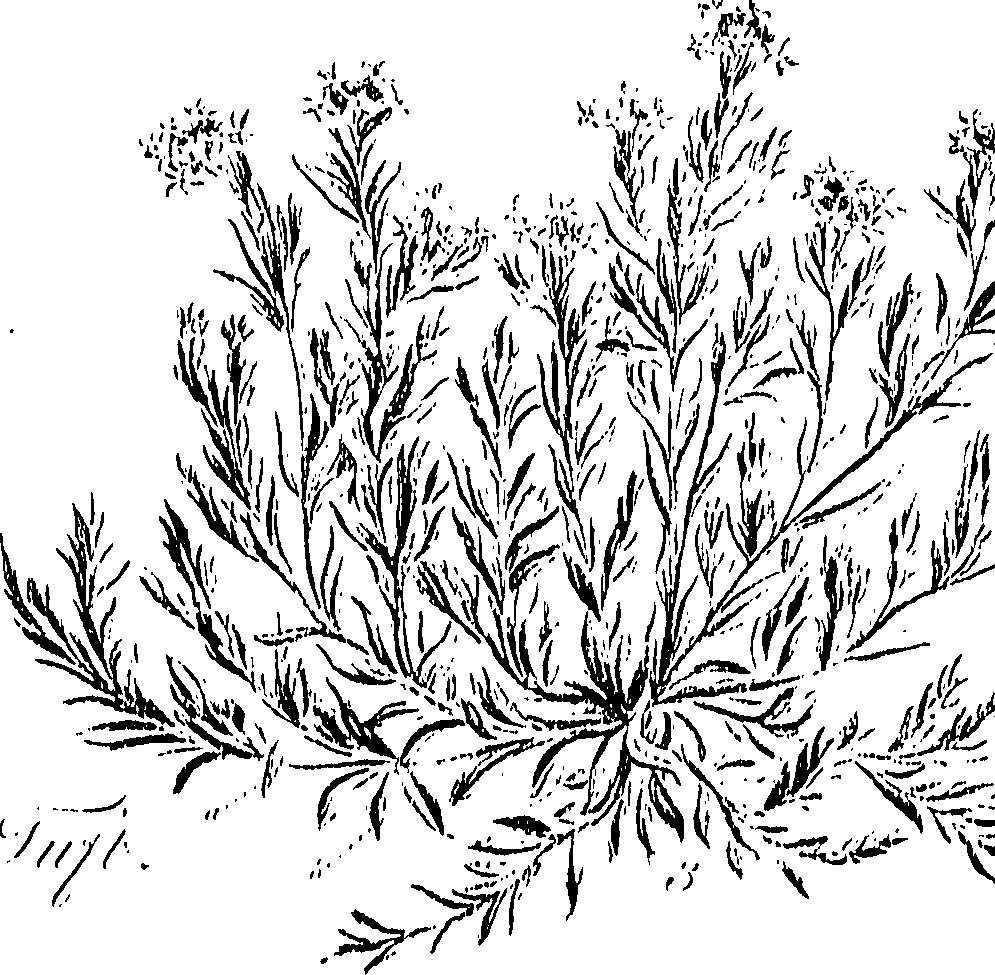 099/099310010800820_0.png