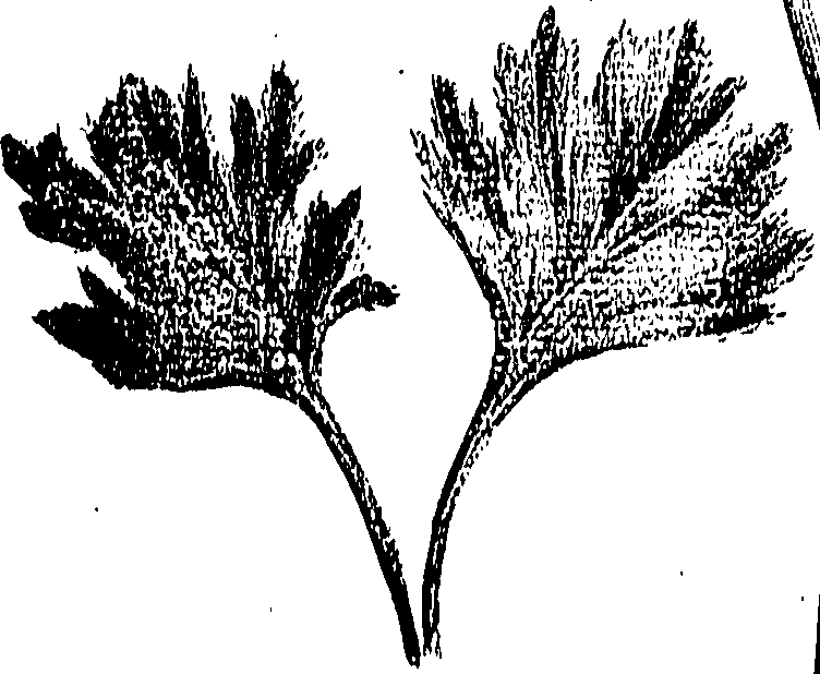 099/099310010800830_0.png