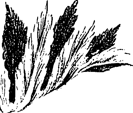 099/099310010800830_1.png