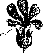 099/099310010800830_2.png