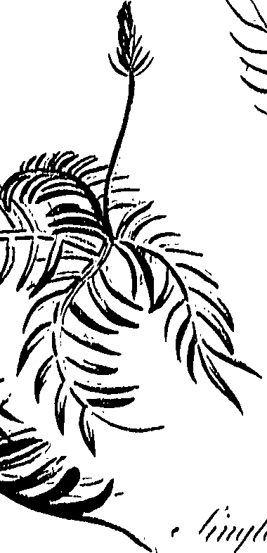 099/099310010800850_0.png