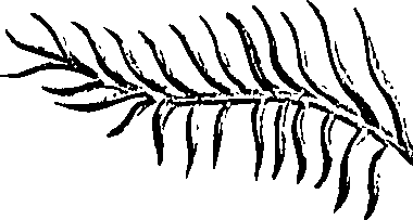 099/099310010800850_1.png