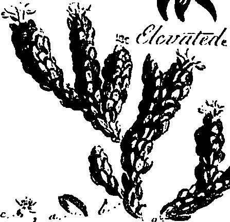 099/099310010800850_2.png