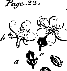 099/099310010800850_4.png