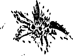 099/099310010800860_0.png