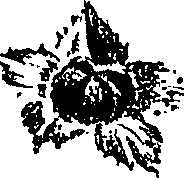 099/099310010800860_2.png