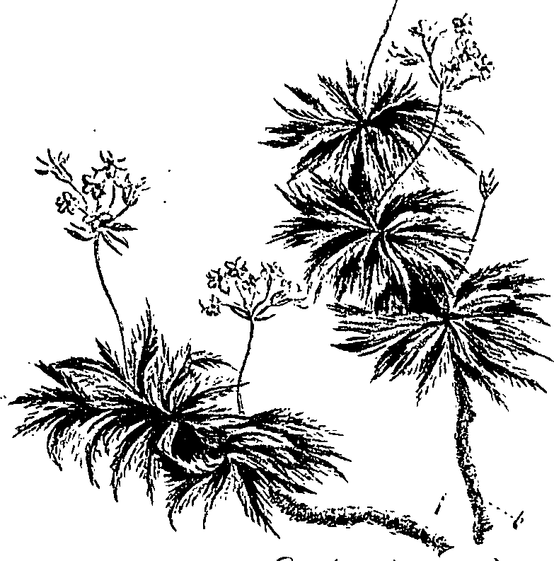 099/099310010800870_1.png