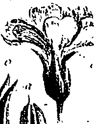 099/099310010800880_1.png