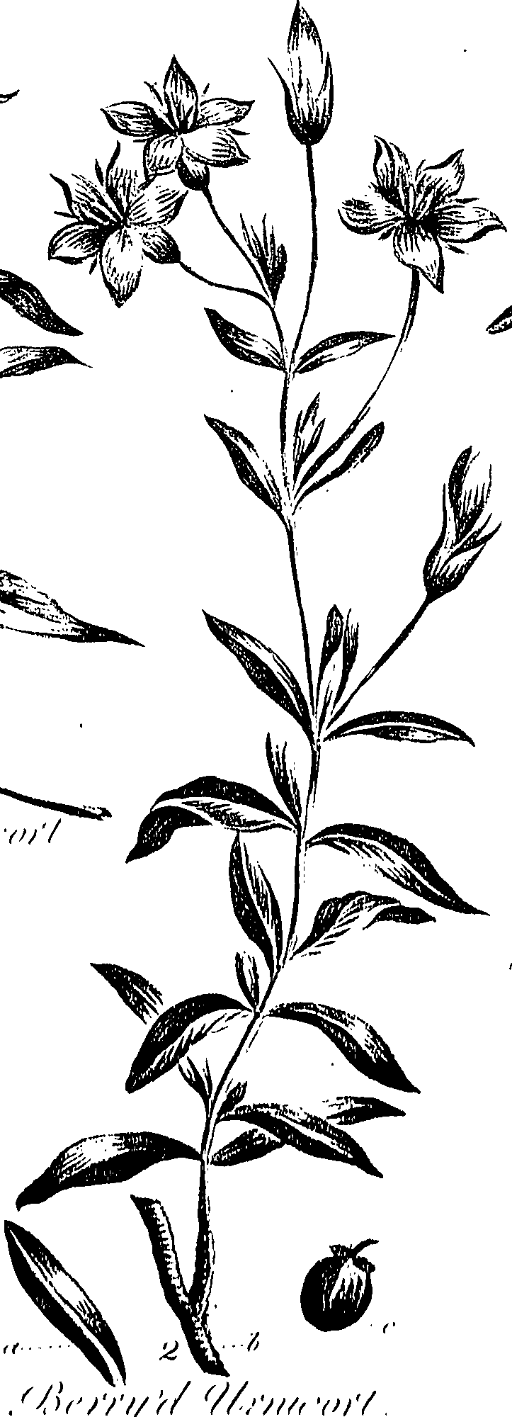 099/099310010800920_0.png