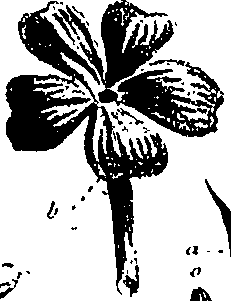 099/099310010800930_0.png