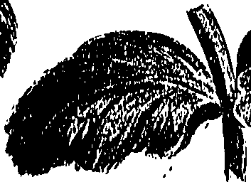 099/099310010800940_0.png