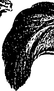 099/099310010800940_1.png