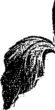 099/099310010800940_2.png