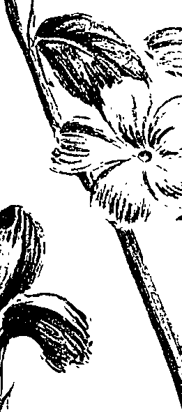 099/099310010800940_3.png