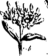 099/099310010800950_0.png