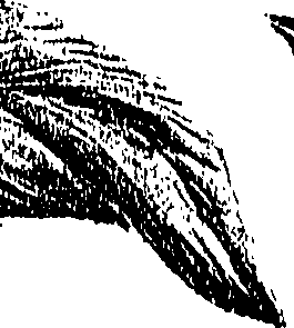 099/099310010800960_0.png
