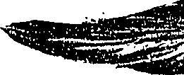 099/099310010800960_1.png